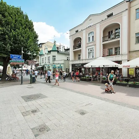 Lion Sopot