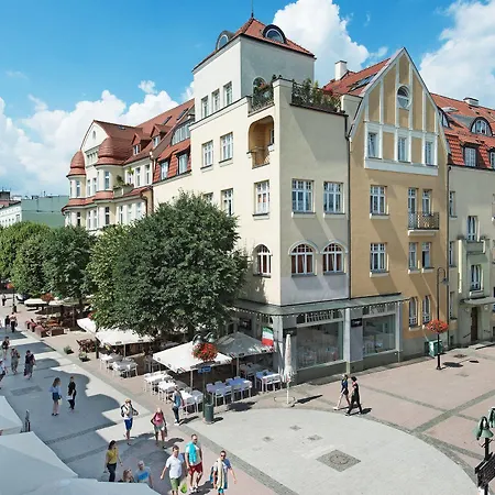Lion Sopot
